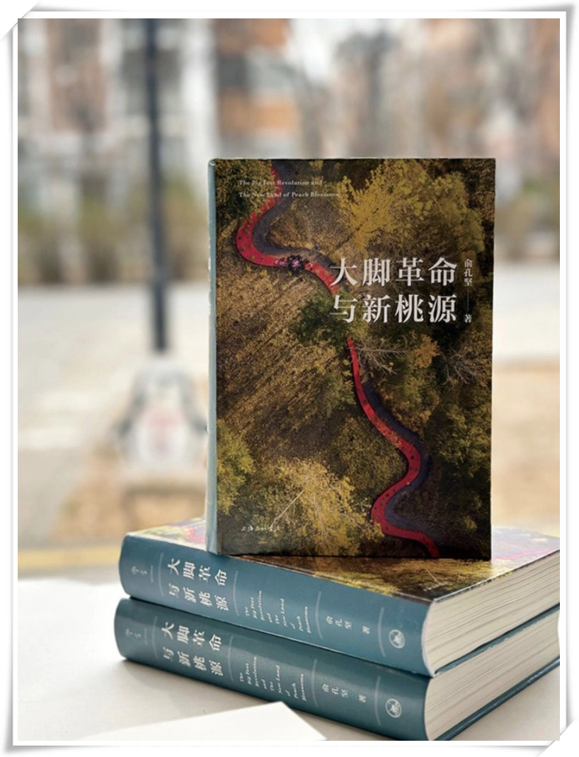 大脚革命与新桃源 经济理论,法规 经管,励志 俞孔坚 著