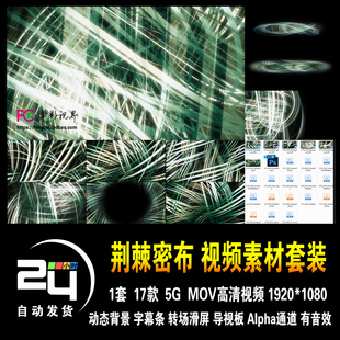 穿越荆棘密布艰辛前行乱麻草丛水草丛林缠绕动态背景高清视频素材