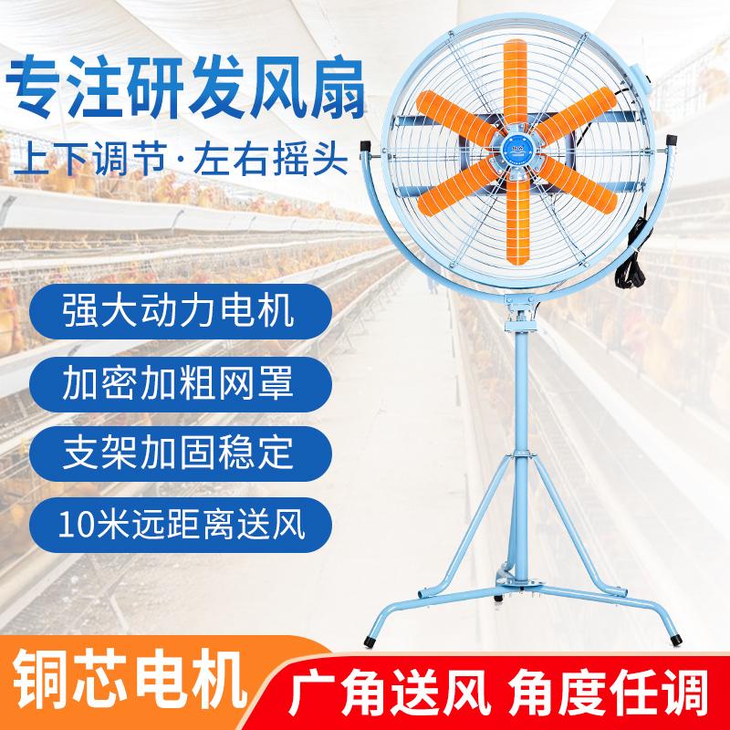 強風揚谷風扇搖頭落地扇養殖通風