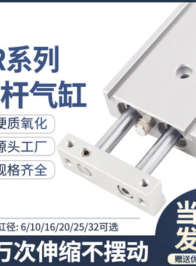 TR双轴双杆气缸小型气动大推力