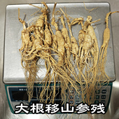 100克装 人参移山参林下参残枝 20克 大支单根15 老山参 野参残支