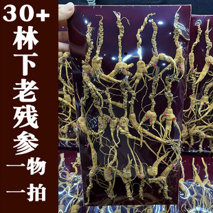 一物一拍 专属 林下参高龄残30年+ 籽货老残野播籽货 100克装