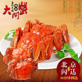 北京闪送现货鲜活大闸蟹鲜活螃蟹2.0 可选全母 包邮 3.0十只装 顺丰