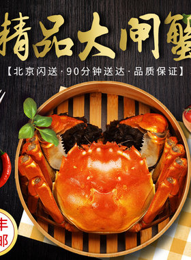 鲜活10只大闸蟹顺丰包邮
