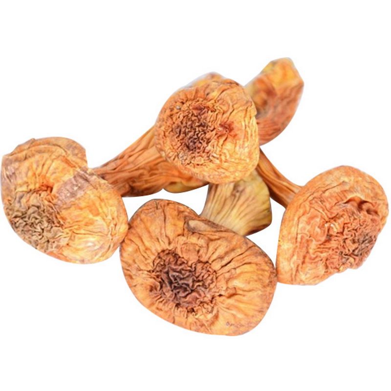 东北大兴安岭新香菇姬松茸土特产姬松菇干货 松茸蘑菇包邮