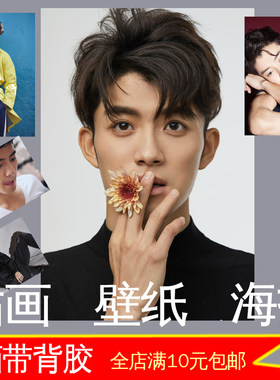 影视明星演员照片写真寝室墙贴画