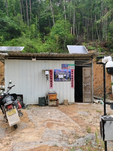 鱼塘水库鲤鱼鲢鳙鱼脆肉皖鱼苗草鱼苗鲫鱼武昌鱼福建三明清流宁化