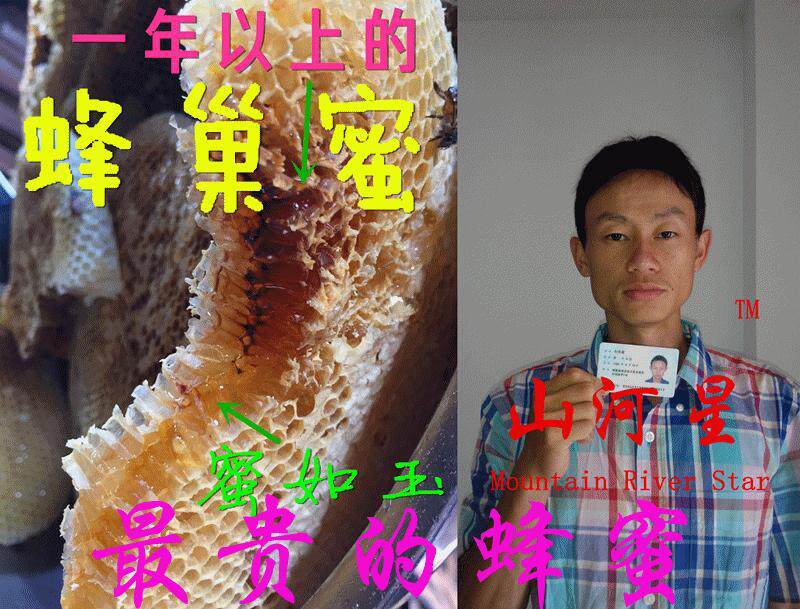 山河星闽野生农村土蜂蜜新蜜百花蜜原蜜冬蜜糖含蜂王浆蜂巢蜜1斤