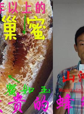 山河星闽野生农村土蜂蜜新蜜百花蜜原蜜冬蜜糖含蜂王浆蜂巢蜜1斤