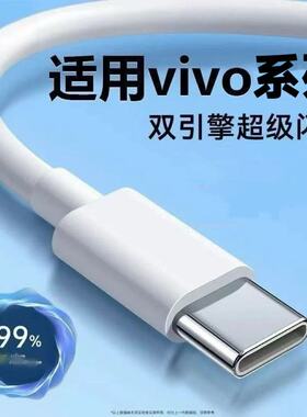 适用VIVOS19Pro/S19数据线120超级闪充vivos19ro/s19快充type-c