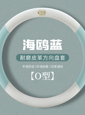 盛昊F6proA6plusC4时光ID3老头乐电动四轮方向盘套老年代步车把套