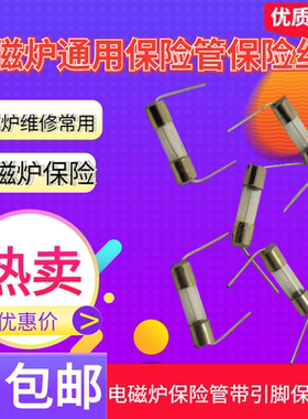 （拍1发5）5X20MM电磁炉陶瓷保险丝管F带引线T双帽10A 250V带引脚
