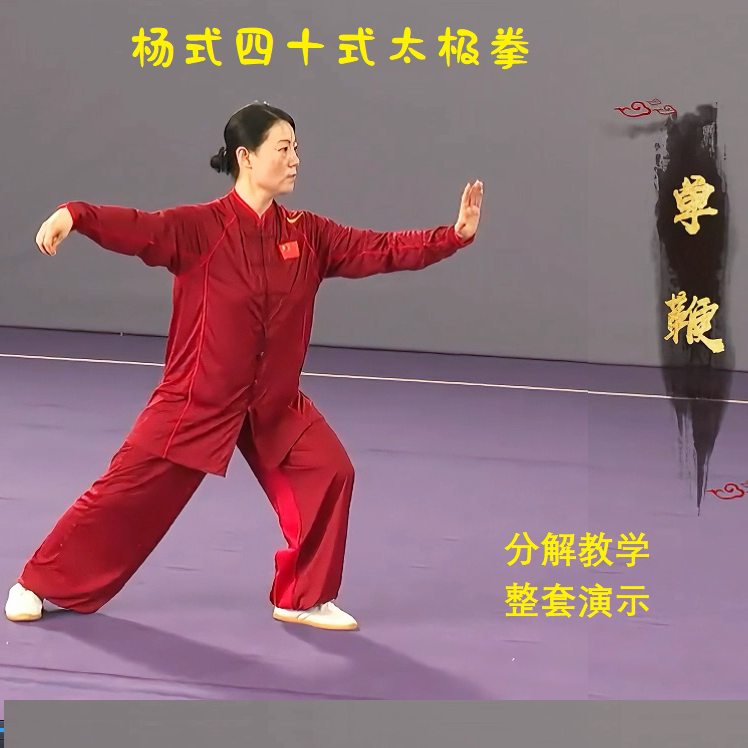 杨静杨式四十式太极拳分解教学杨氏40式视频教材U盘DVD光盘新版