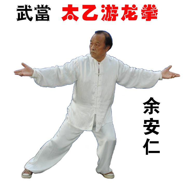 余安仁武当太乙游龙拳DVD光盘养生拳健身拳视频教程U盘非光碟
