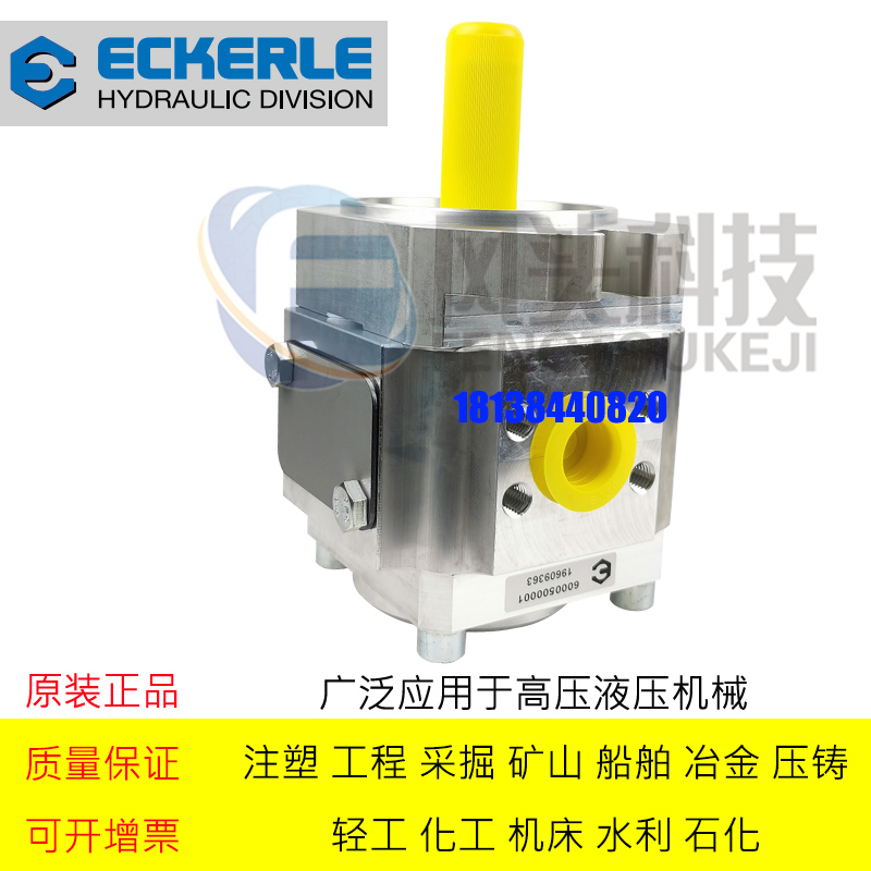 原装德国ECKERLE艾可勒齿轮泵 EIPC5-100RK23-10注塑机伺服齿轮泵