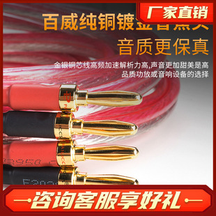 师旷 发烧喇叭线 高保真 音箱线2.5米一对 纯铜镀金音箱线
