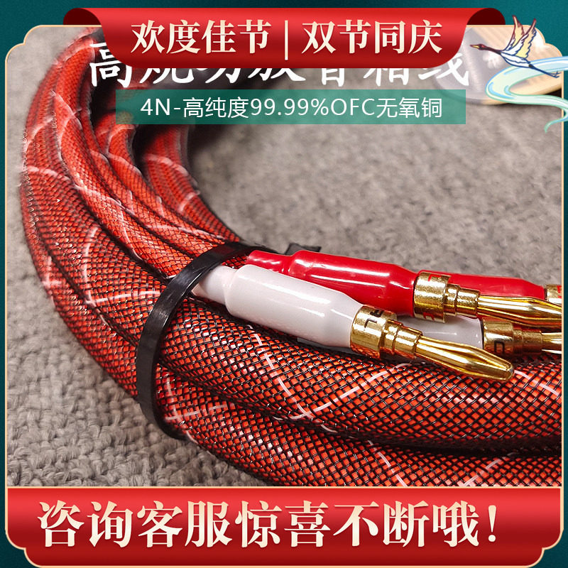 师旷发烧级喇叭线屏蔽一对抗干扰