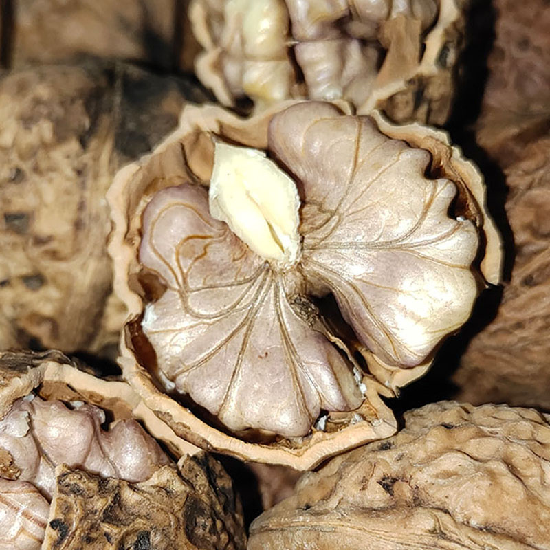 2025新货云南漾濞野生老树尖嘴紫米娘亲紫皮原味云南漾濞核桃包邮