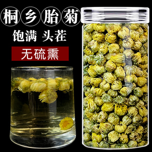 桐乡胎菊王头茬采摘正宗菊花非特级正品 蜜 非杭白菊菊花茶爷爷家