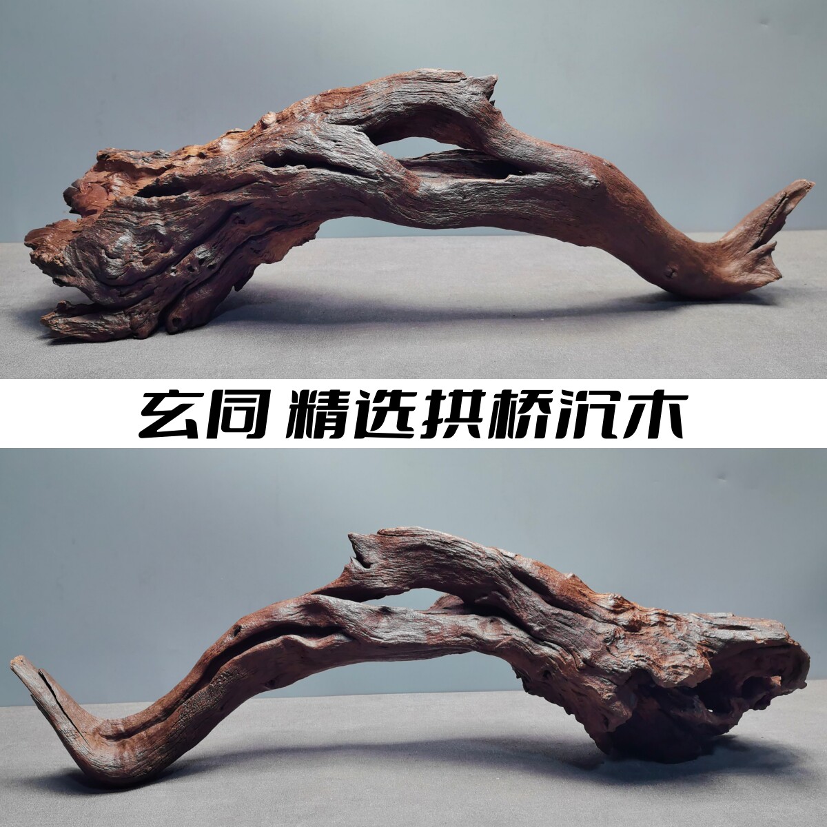 玄同天然紫柚沉木鱼缸雷龙造景大型拱桥晒龟南美原生溪流树桩免洗