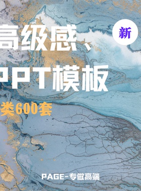 ppt模板 高级感科技感工作汇报学术汇报设计定制简约商务艺术竞聘