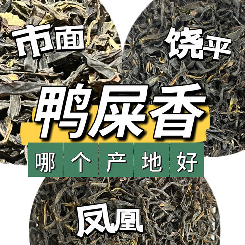凤凰单丛凤凰单丛茶鸭屎香黄栀香黄枝香凤凰单丛茶潮州凤凰银花茶