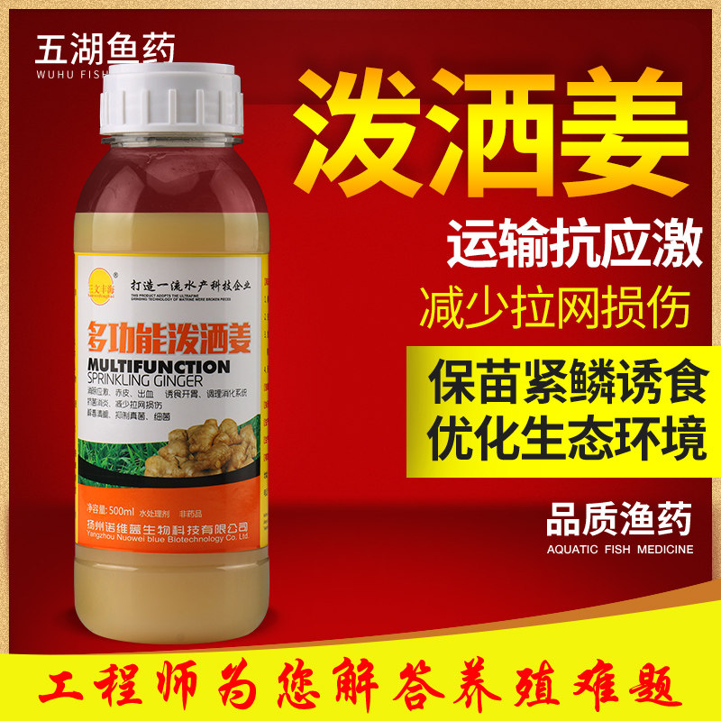多功能泼洒姜 姜辣素水产抗应激拉网起鱼用 紧鳞防鱼体受伤拉伤
