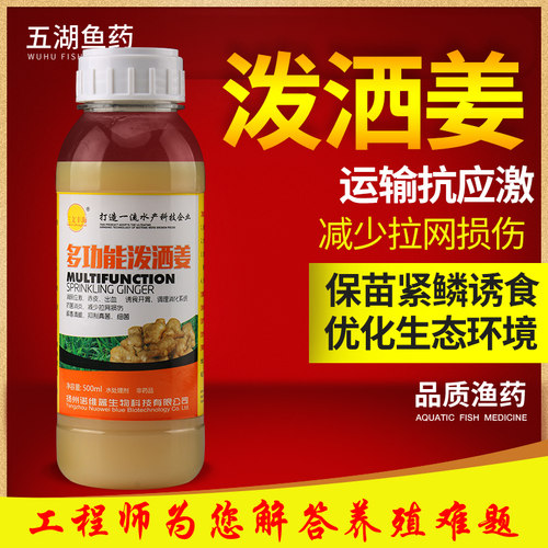 多功能泼洒姜姜辣素紧鳞鱼体受伤