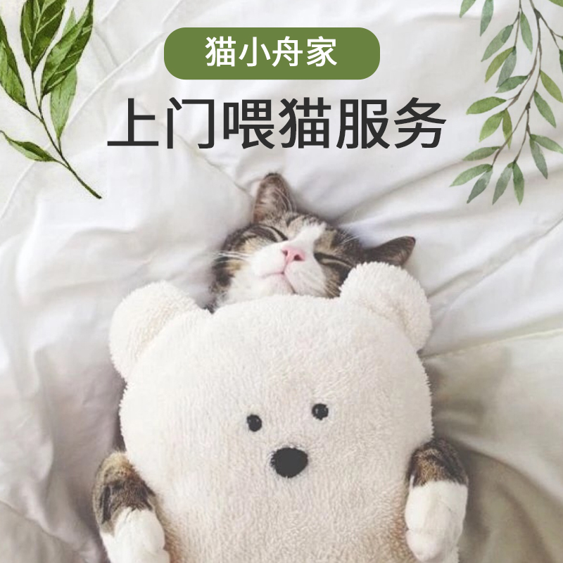 上门喂猫粮罐头清猫砂春节寄养