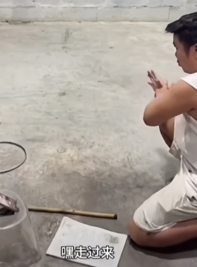 魔术教学 抖音直播 跳凳子 悬浮物品 跳筷子 空碗出水 空中点火