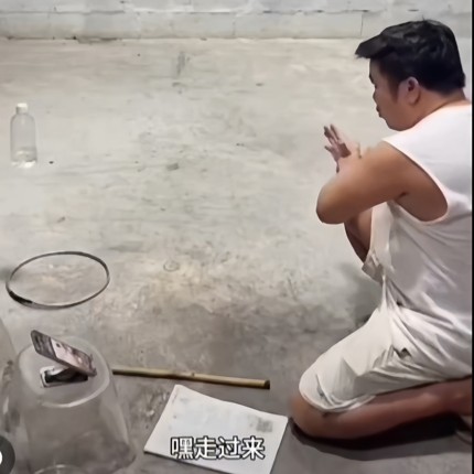 魔术教学 抖音直播 跳凳子 悬浮物品 跳筷子 空碗出水 空中点火