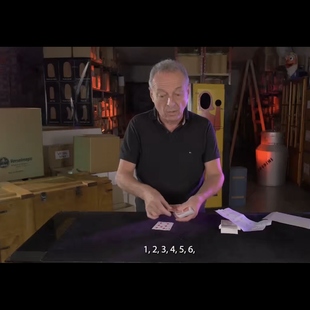 魔术教学 2024新式纸牌信封预言Inside by Vernet 全新 独特 效果