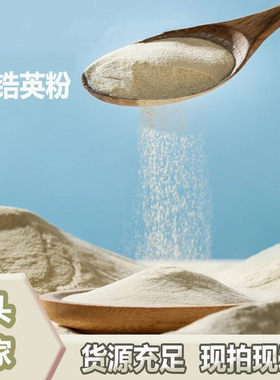 锆英粉 铸造锆英砂釉料1750°C 陶瓷硅酸锆粉zirconium silicate