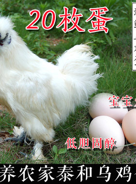 江西泰和乌鸡蛋农家散