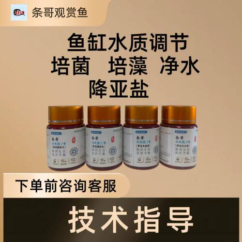 条哥，水无忧， 观赏鱼鱼缸快速水质调节
