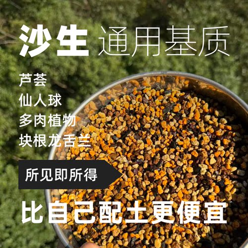块根沙生植物透气颗粒植物营养土