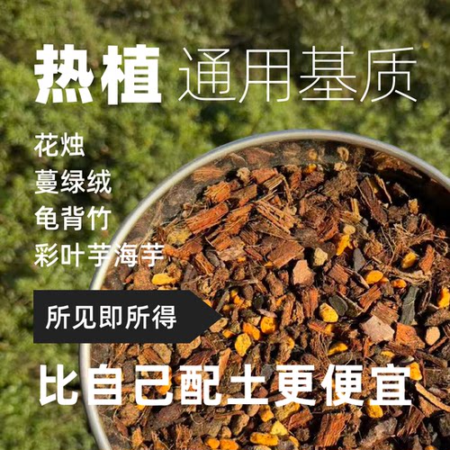 HOHO热植兰花彩叶芋花烛多肉秋海棠天南星科透气全颗粒植物营养土