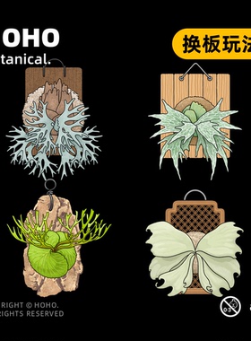 HOHO原创·植物热植磁吸冰箱贴创意DIY可换板鹿角蕨冰箱贴