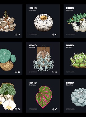 HOHO原创·绿植冰箱贴块植物根龙舌兰仙人球热植亚克力磁吸冰箱贴