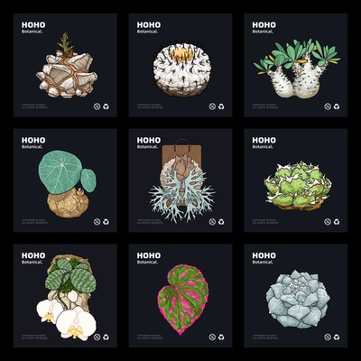 植物绿植创意磁吸冰箱贴