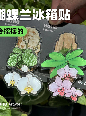 HOHO原创·蝴蝶兰冰箱贴热带绿植磁吸冰箱贴亚克力花卉家居磁贴