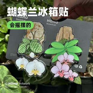 HOHO原创·蝴蝶兰冰箱贴热带绿植磁吸冰箱贴亚克力花卉家居磁贴