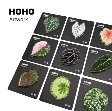 hoho原创热植冰箱贴克莱恩花烛彩叶芋秋海棠磁吸龟背竹植物