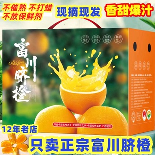 正宗广西特产富川脐橙新鲜橙子时令水果整箱10斤精选大果脐橙送礼