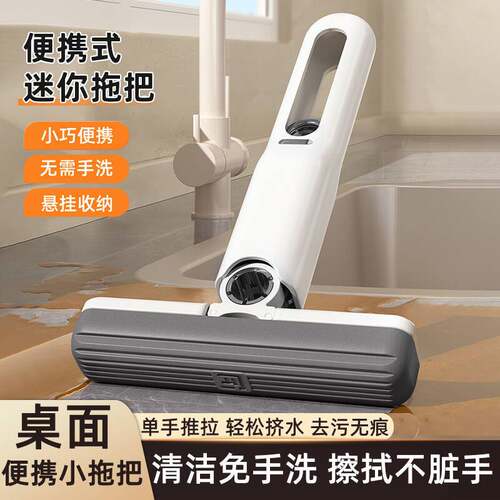 多功能小拖把海绵吸水家用