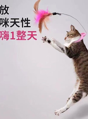 头戴式逗猫棒玩具猫咪自嗨解闷
