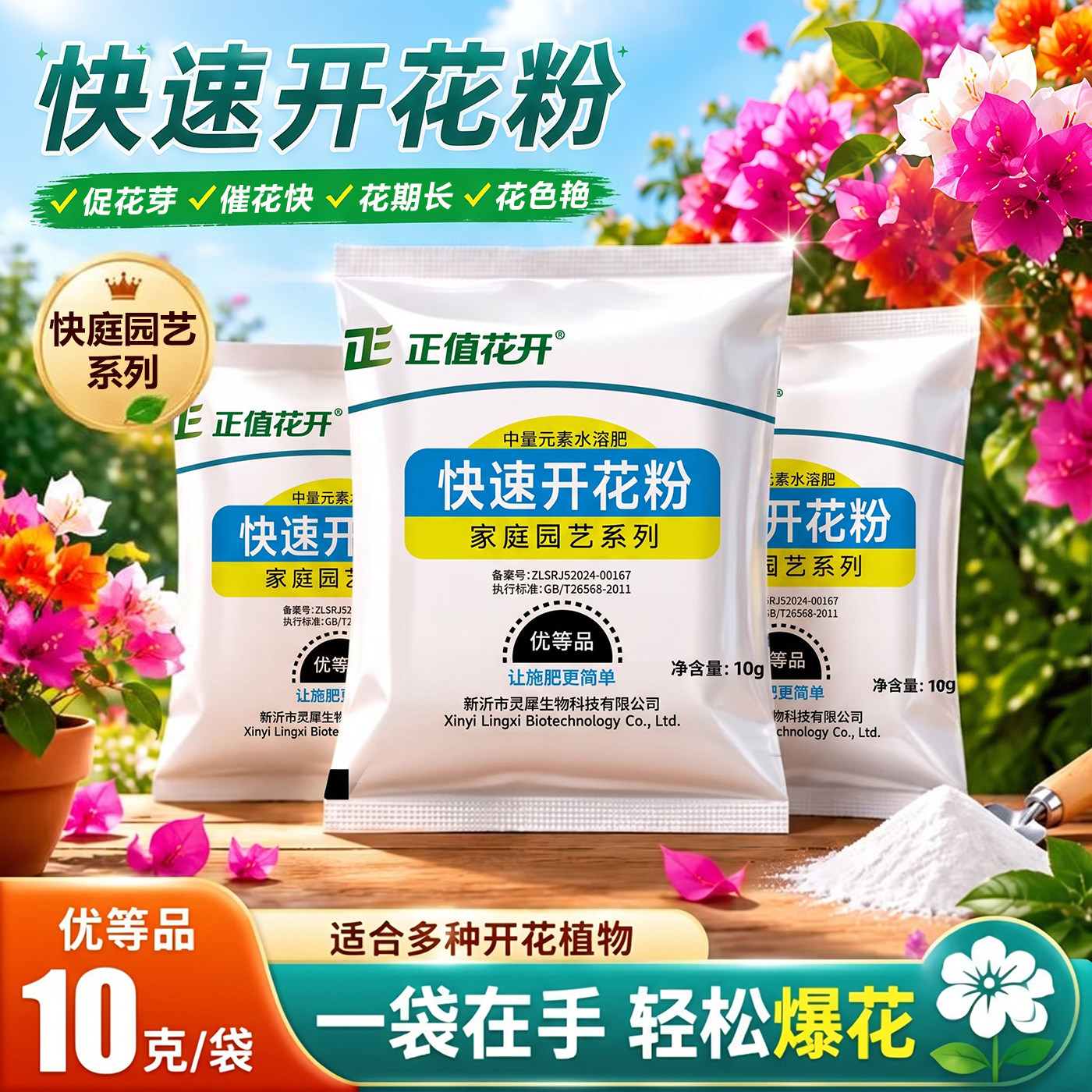 快速开花粉三角梅茶花茉莉盆栽通