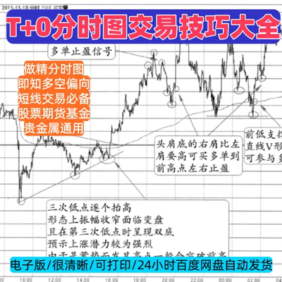 股票期货通用T 0分时图交易技巧大全详解推荐热卖电子版