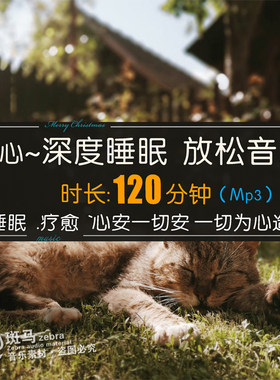 治愈系舒缓助眠MP3格式120分钟