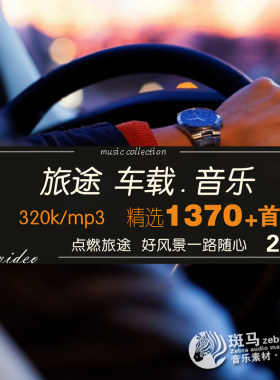 长途驾驶提神醒脑快节奏DJ电音